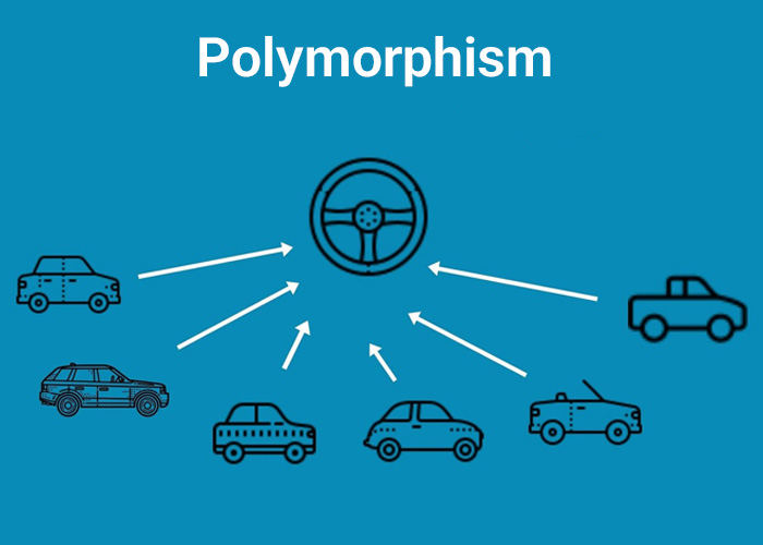 مفهوم Polymorphism در شی گرایی 